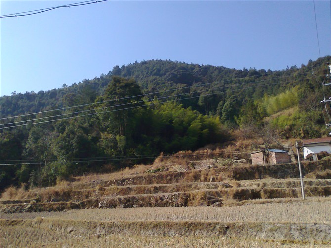 孝敬爷爷出资孝心榜